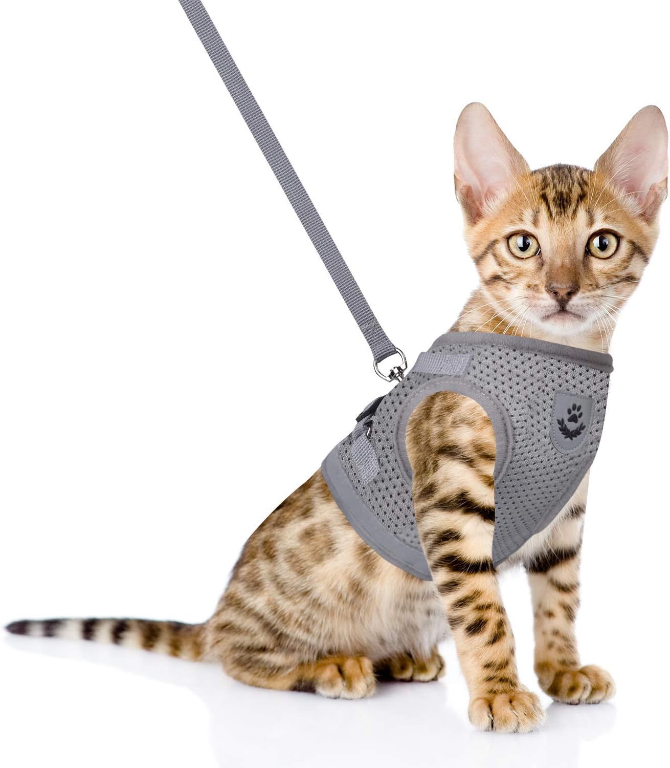 Cat Harness, Cat Escape Harness Proof with Leash Leather
