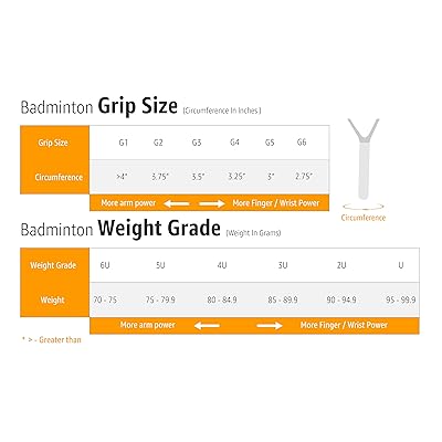 YONEX ZR 100 Light...