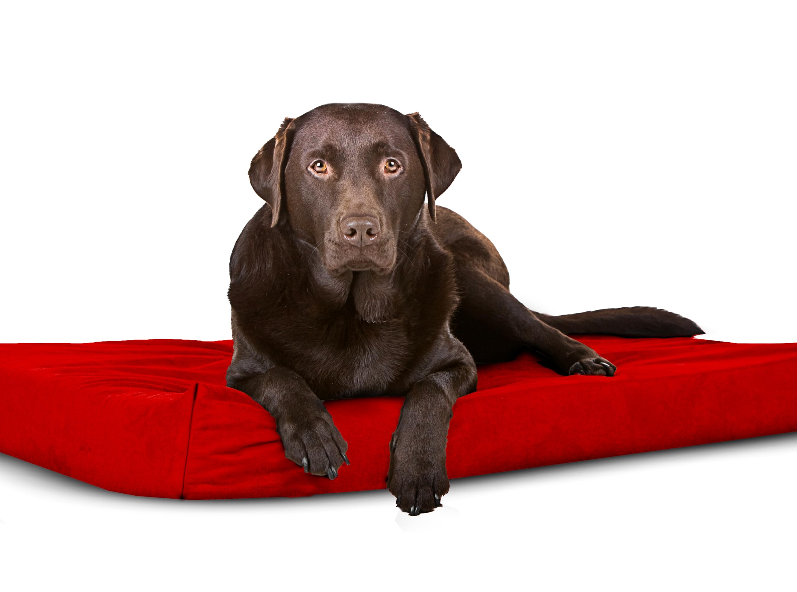 Sapphire Collection Waterproof Bed Cushion Pet Bed and Mattress Dog Cage Mat Pet Dog Cat Bed Pad with Washable & Removable Zipped Cover (Medium (90 x 60 x 5cm), Red)