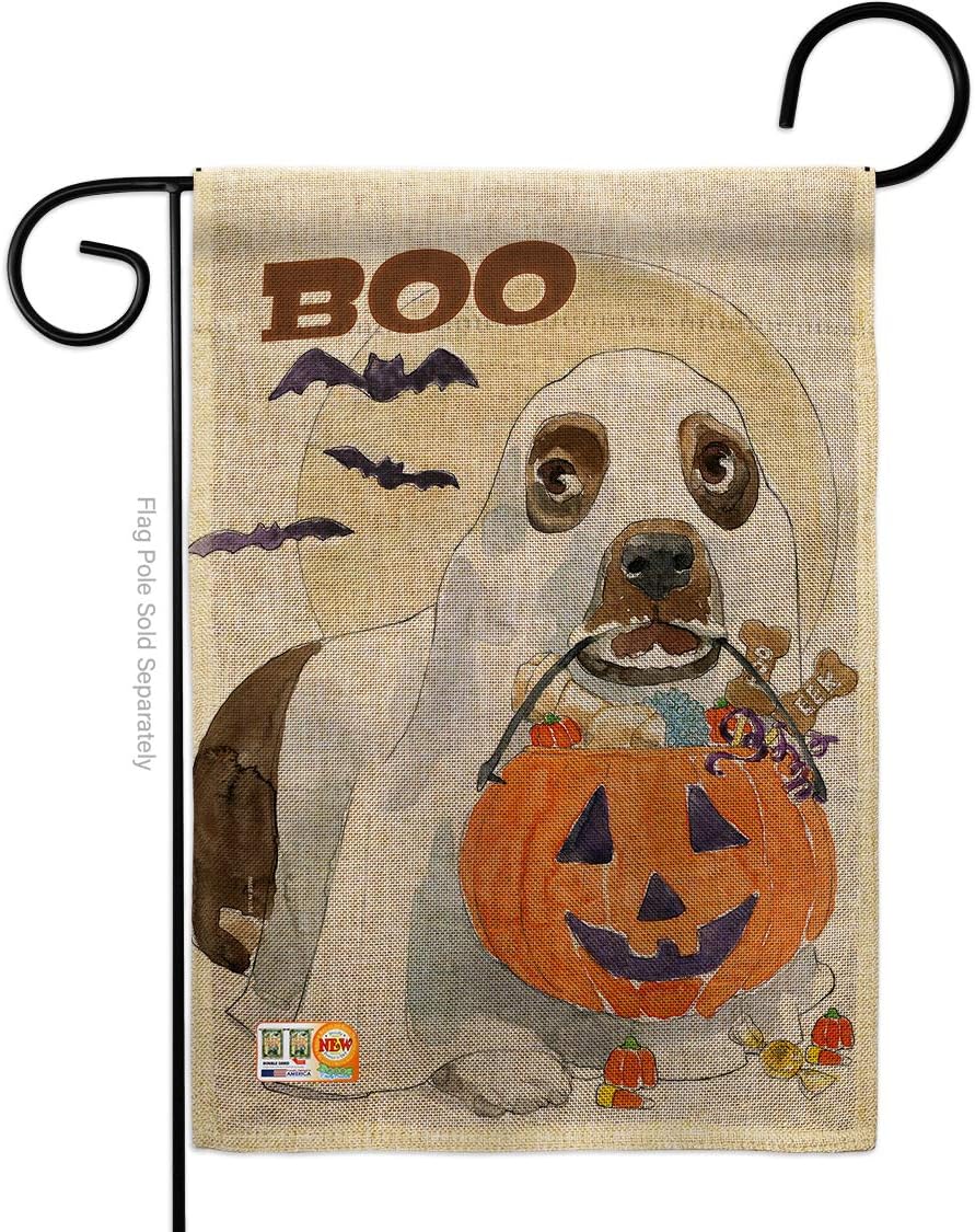 Breeze Decor Halloween Boo Doggie Garden Flag Fall Witch Trick or Treat Spooky Night Black Cat Season Autumntime Pumpkin Small Decorative Gift Yard House Banner Double-Sided Made in USA 13 X 18.5