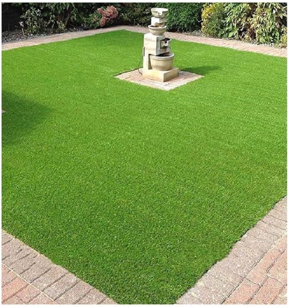 Carpet grass seeds/Lawn Grass Home Garden of Pack 6000 (B0CLLDHBTX) Amazon Price History, Amazon Price Tracker