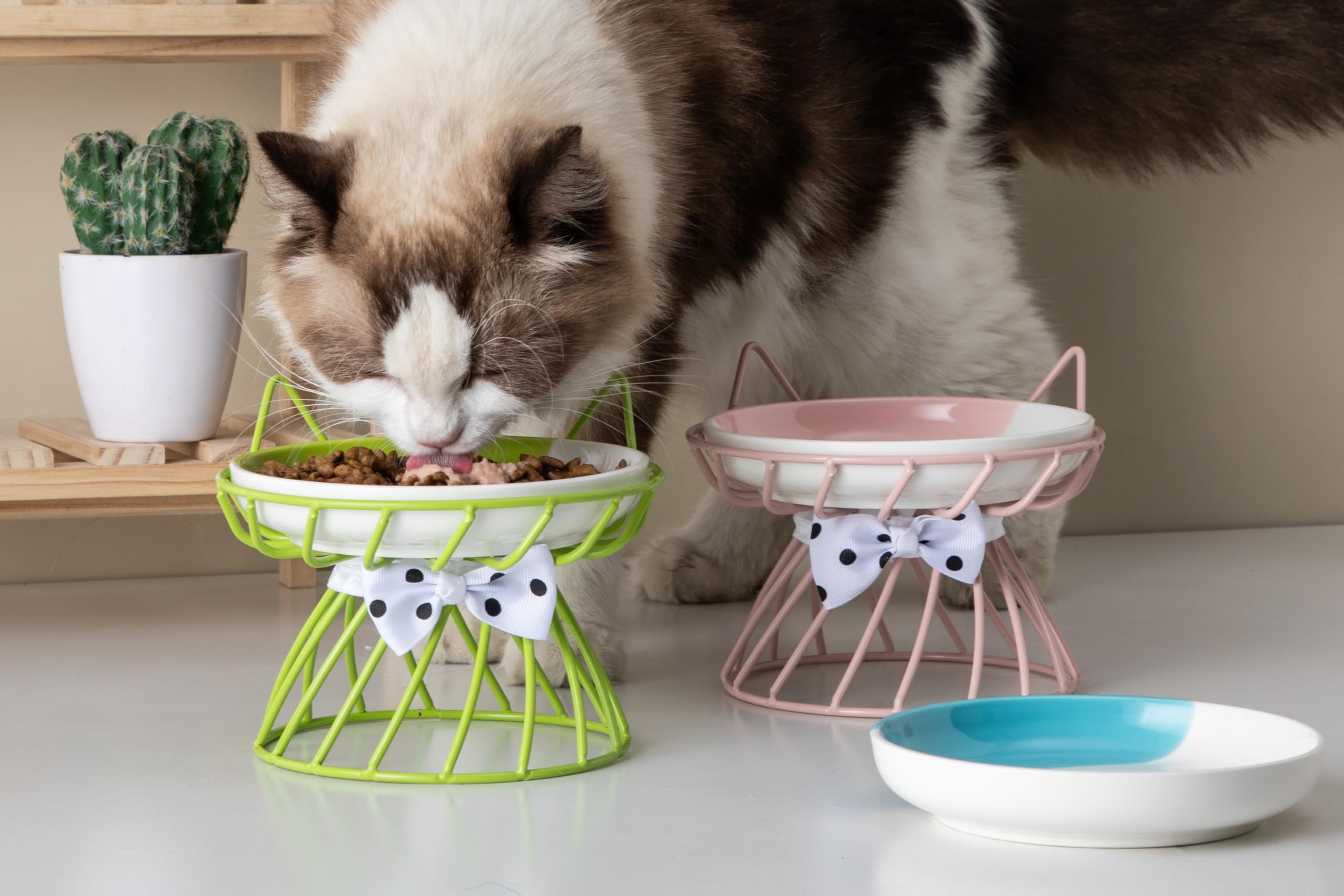 Set Of 4 Ceramic Raised Cat Bowls With Metal Stands - Elevated Feeding Station, Whisker Friendly, Dishwasher Safe (Green, Pink, Blue, Black)