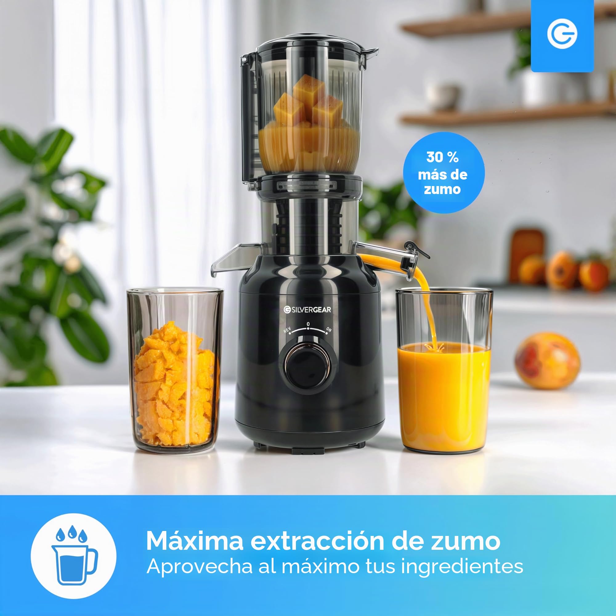 Silvergear® Licuadora | Extractor de Zumos y Verduras | Slowjuicer 250 W | Extractor 103 mm Apertura | Slowjuicer Potente Motor a 60 rpm | 2x Envases de 450 ml | Negro