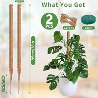 RYHX Monstera Növénytámasz Szett - 95 cm Hajlítható Kókuszrost Karó Kúszónövényekhez, 2 db Természetes Mohabot Beltéri Növényekhez Kiegészít 2