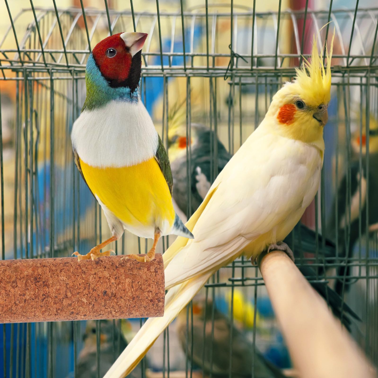 minkissy Supporto in Legno per Pappagalli Funzione Lima Unghie per Gabbie, Posatoio Resistente per Pappagallo la Cura e Gioco