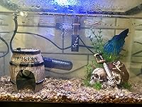 Review Image by Koreymarquee Koreymarquee