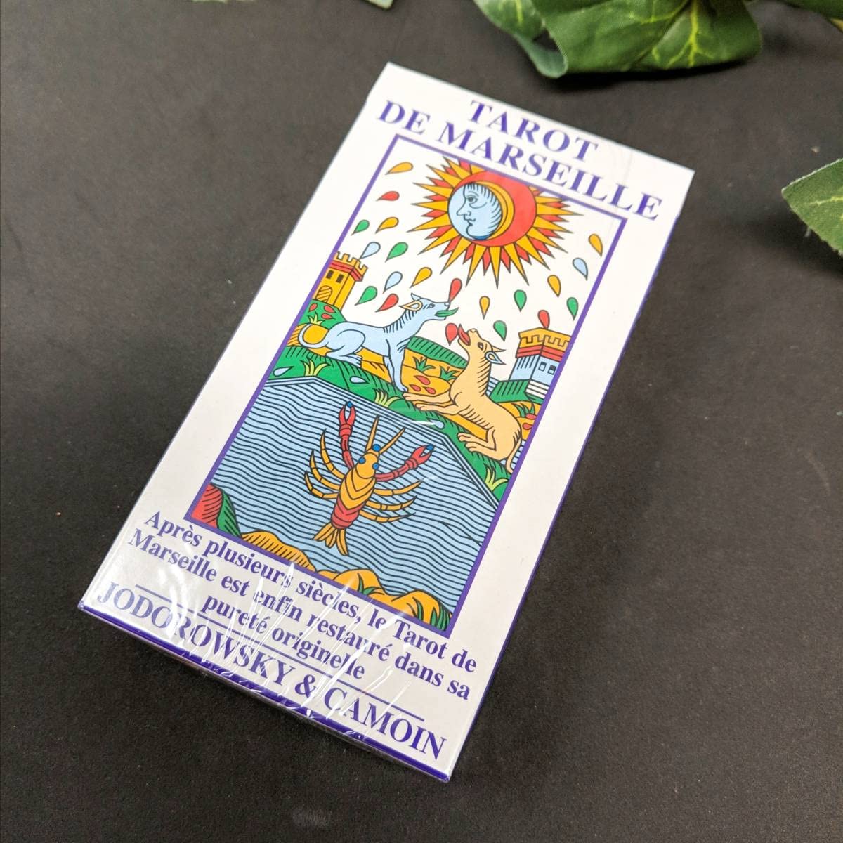 Amazon.co.jp: カモワン・タロット CAMOIN TAROT マルセイユ版