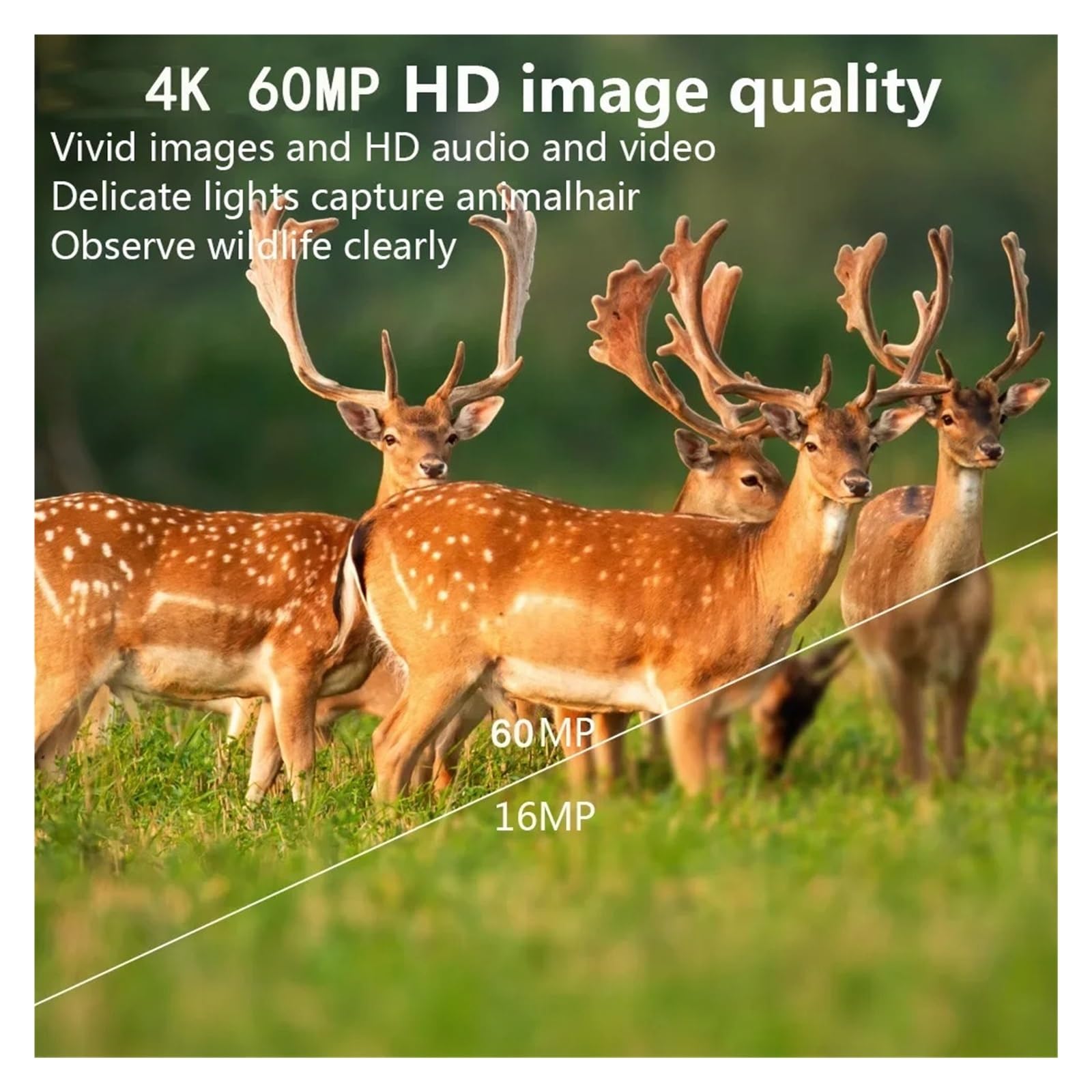 60MP WIFI Zewnętrzna Kamera Obserwacyjna Myśliwska PR1600 4K Dzikiej Przyrody Utwór Aktywowany Ruchem Noktowizor Na Podczerwień Wodoodporna Fotopułapka WyraźNe Obrazy I Filmy(PR1600 Add 64GB)