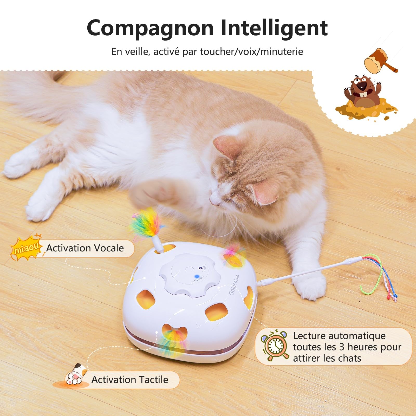 GoldenSun Jouet pour Chat Rechargeable Interactif 4 en 1 Cache-Cache Mouvement Whack a Mole