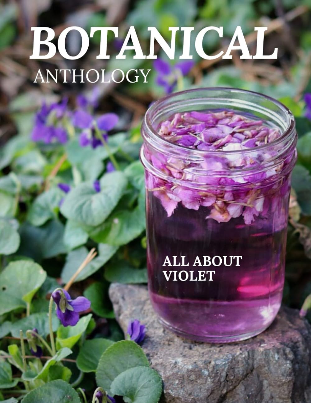 All About Violet eau de parfum femme fragrance florale poudrée de créateur