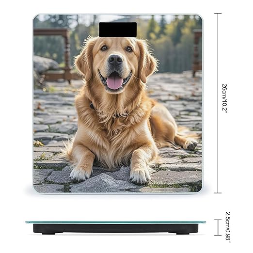 Báscula de baño digital Golden Retriever Dog, 10.2 x 10.2 pulgadas miniatura 2
