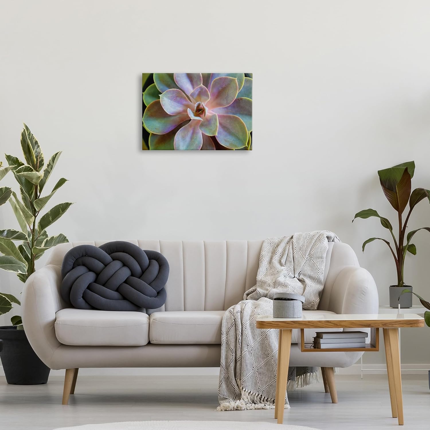 Stupell Industries Blooming Succulent Leaves Canvas Wall Art Design by Susan Bryant, 24 x 16