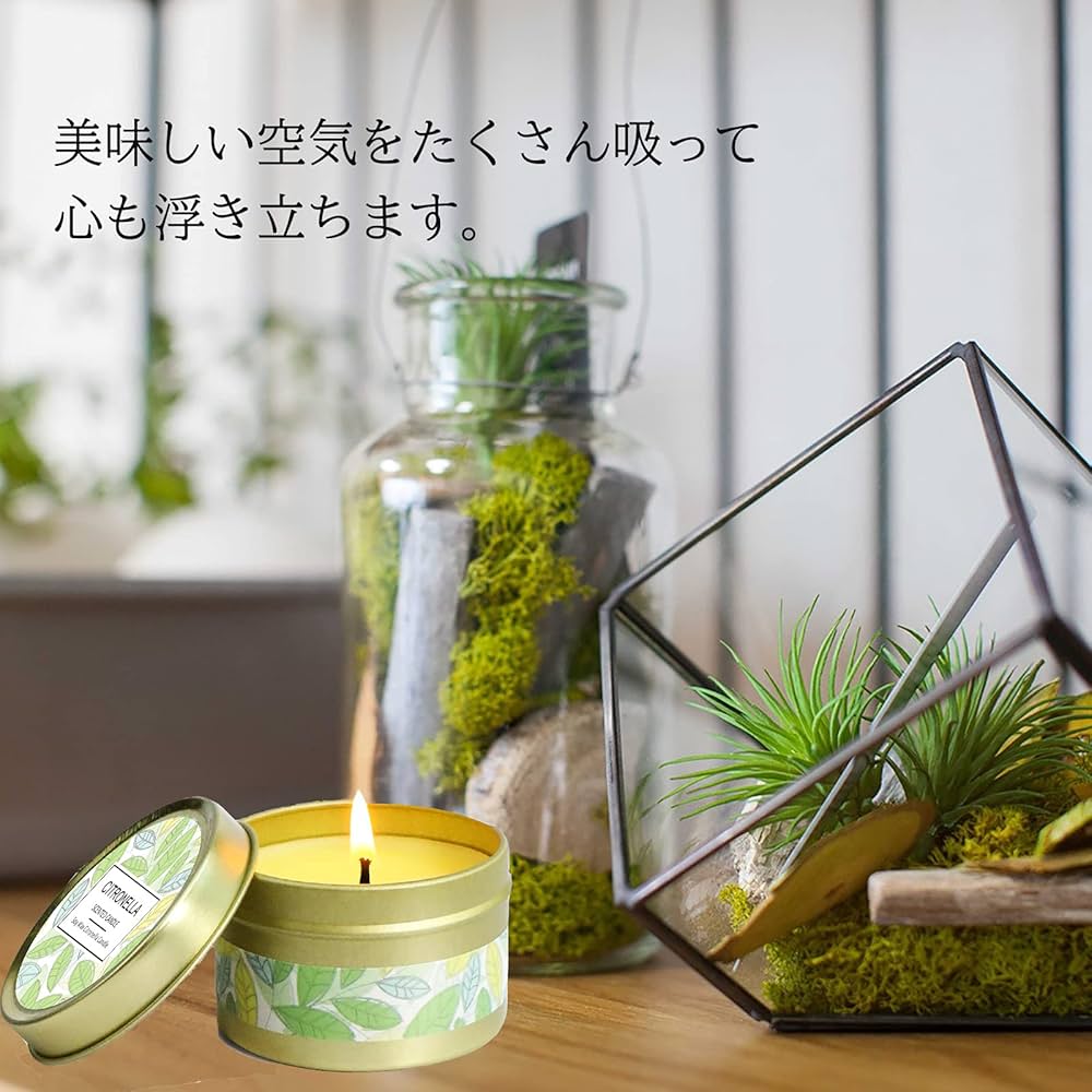 佐藤健30thANNIVERSARY BOOK アロマキャンドル使用済ムビチケ 佐藤健30thANNIVERSARY BOOK アロマキャンドル使用済ムビチケ