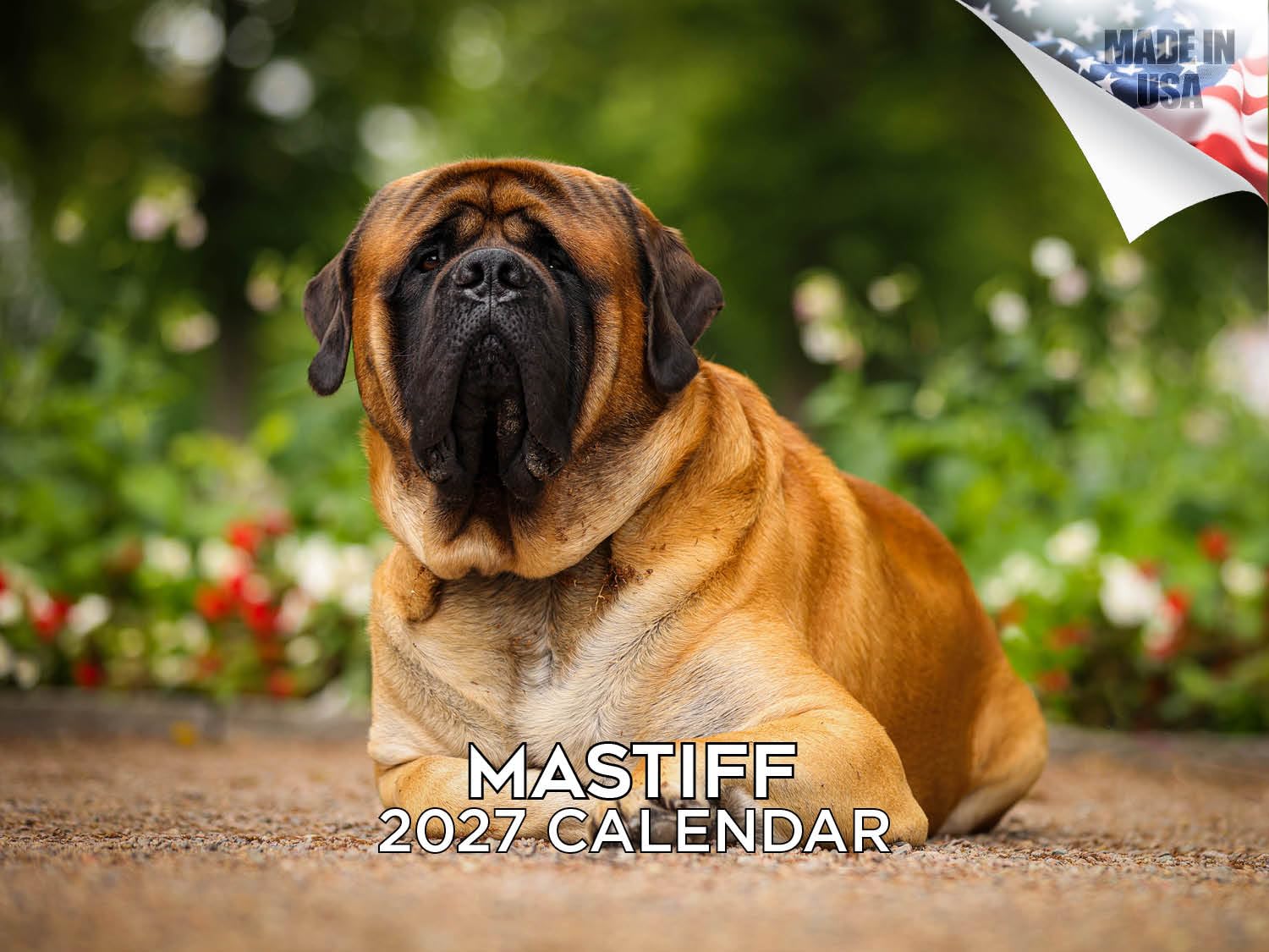 2024 2025 Mastiff Calendar - Dog Breed Monthly Wall Calendar - 12 x 18 Open - Thick No-Bleed Paper - Giftable - Academic Teacher's Planner Calendar Organizing & Planning - Made in USA — image 1