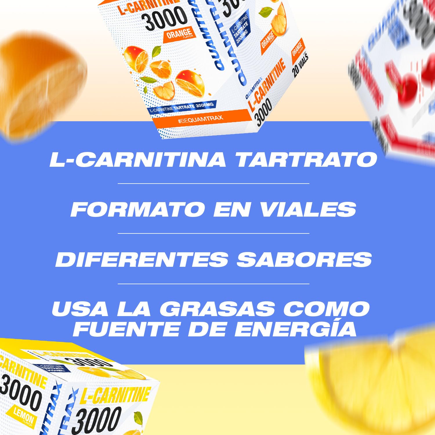 l carnitina pomada Gel corporal Torongia con L-Carnitina 180 g