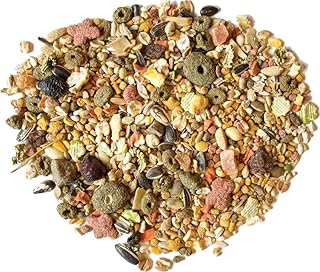 SUNSEED COMPANY 079509 Sunsations Cockatiel/Conure, 4 Pound