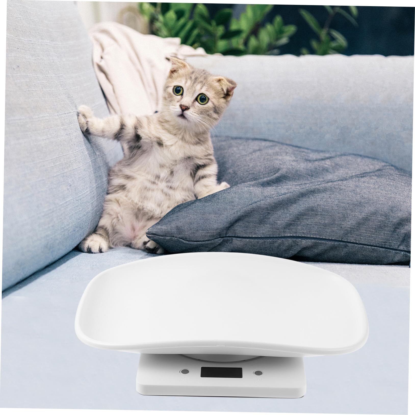 KOMBIUDA Bilancia Elettronica per Animali Domestici con Display LED Misurazione Precisa per e Gattini Design Pesare e Medicinali per Animali