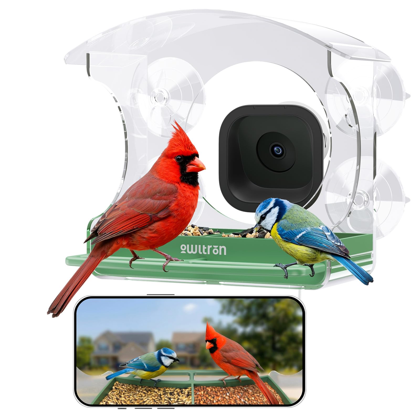 owltron Window Bird Feeder - feeding and watering supplies pet | Mubboo
