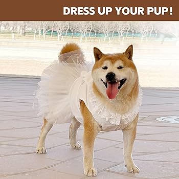 【超美品】ペット用　ロングドレス　サイズＳ レティカ Retica フラワーレース刺繍切替 大人Aライン フレア