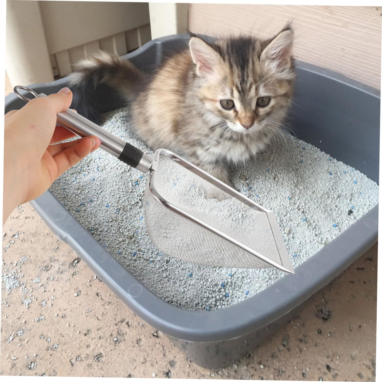Palas Metálicas para Gatos y Reptiles Accesorio De Limpieza Mango Antidesgaste Tipo De Mascotas