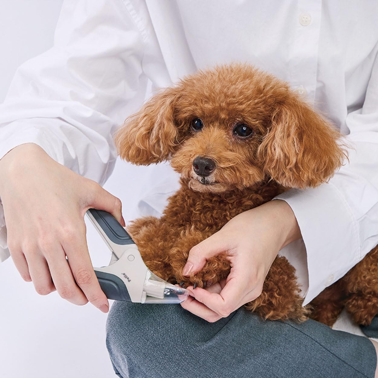 Amazon.co.jp: ペティオ (Petio) 犬用爪切り FIXCARE 爪が飛び散らない