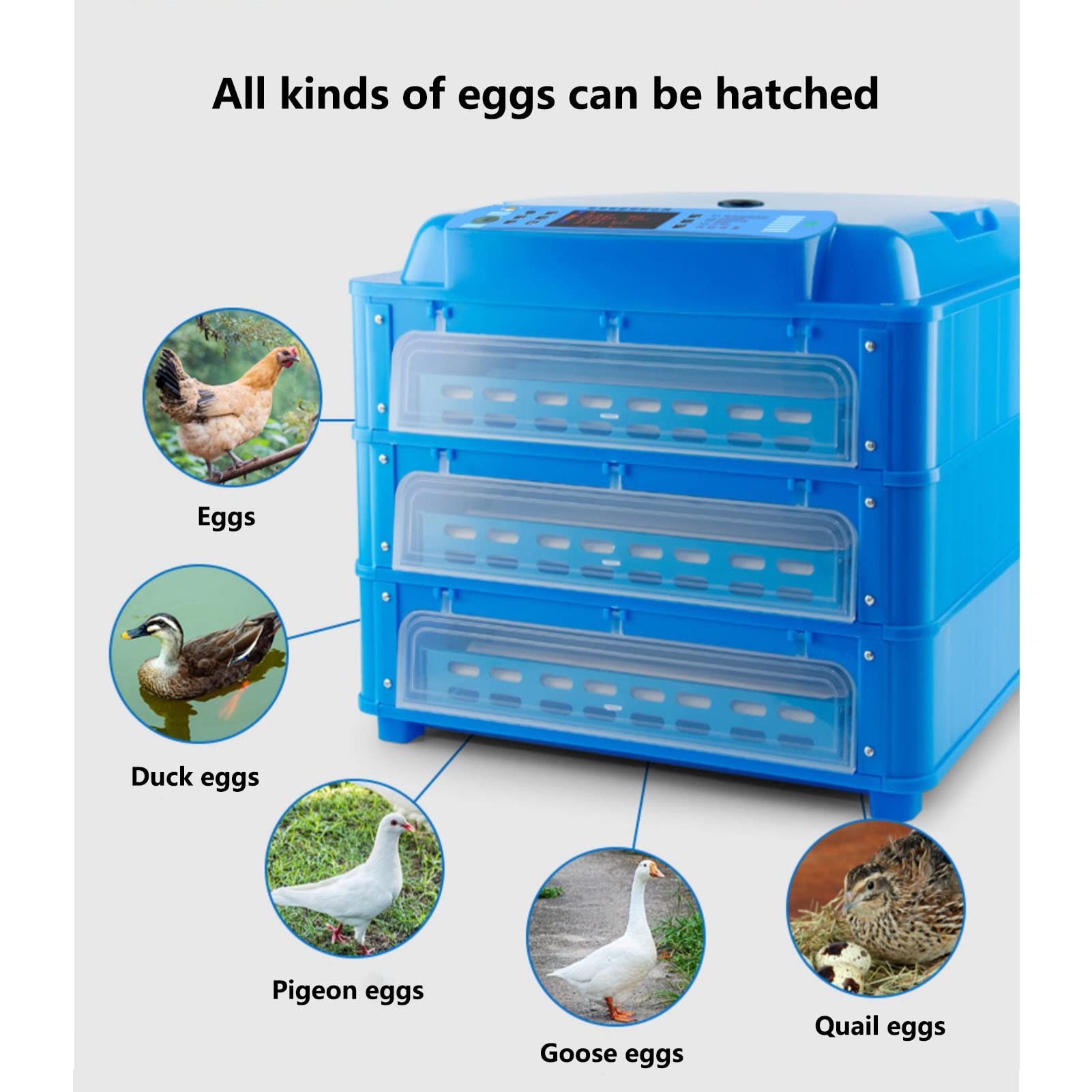 Incubadora Automática De Huevos con Volteo, Criadora De Pollitos Totalmente Automática, Máquina Incubadora Ajustable para Incubar Huevos De Pavo, Ganso Y Codorniz.,128 Pieces
