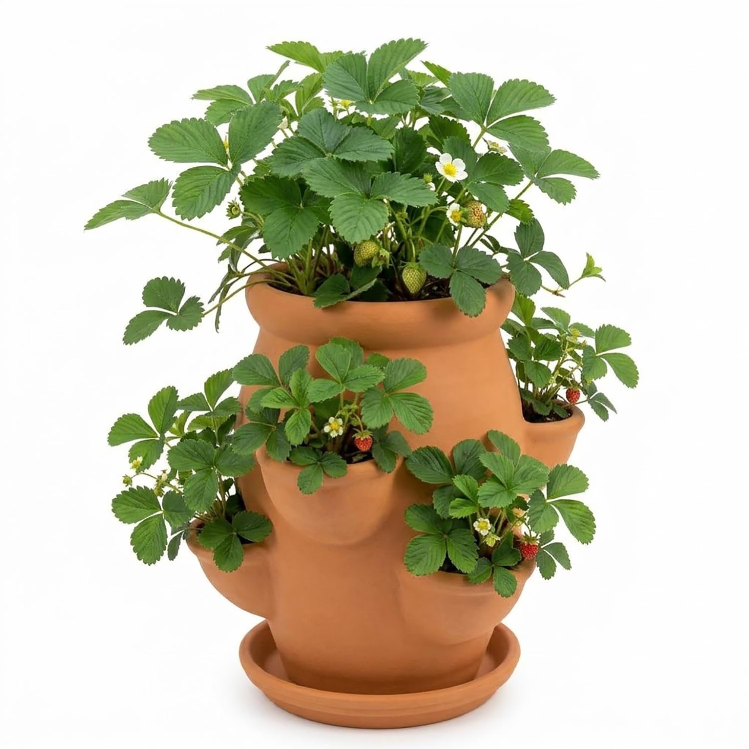 Wieża doniczkowa do sadzenia truskawek, 6-kieszeniowa pionowa donica na sukulenty
