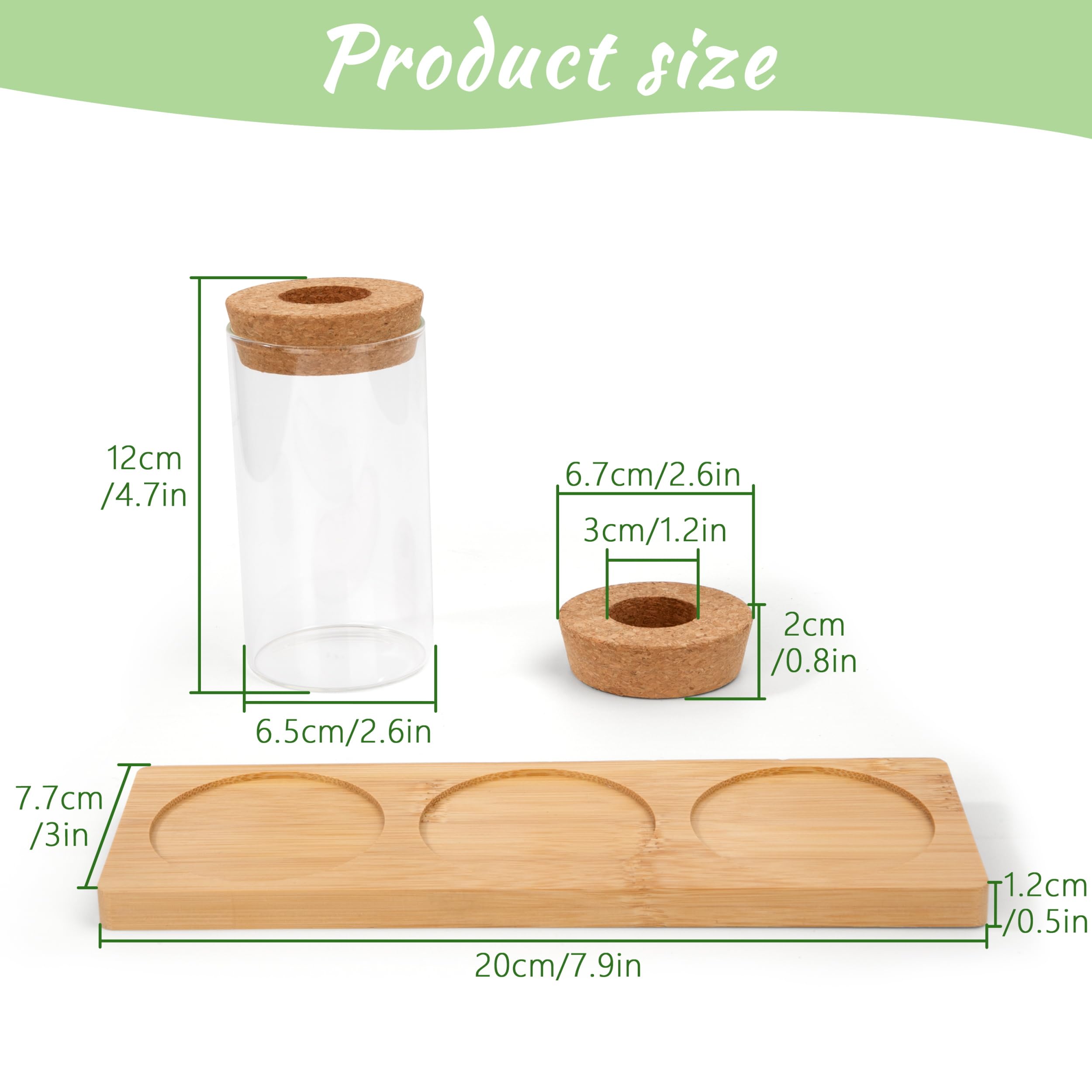 Stations de Propagation de Plantes Vases Hydroponiques avec Socle et Bouchons en Bois 3 Pièces pour Plantes Aquatiques ou Fleurs
