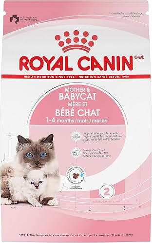 Royal 145006 dry cat food