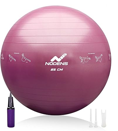NODENS PVC Gym Ball with Hand Pump