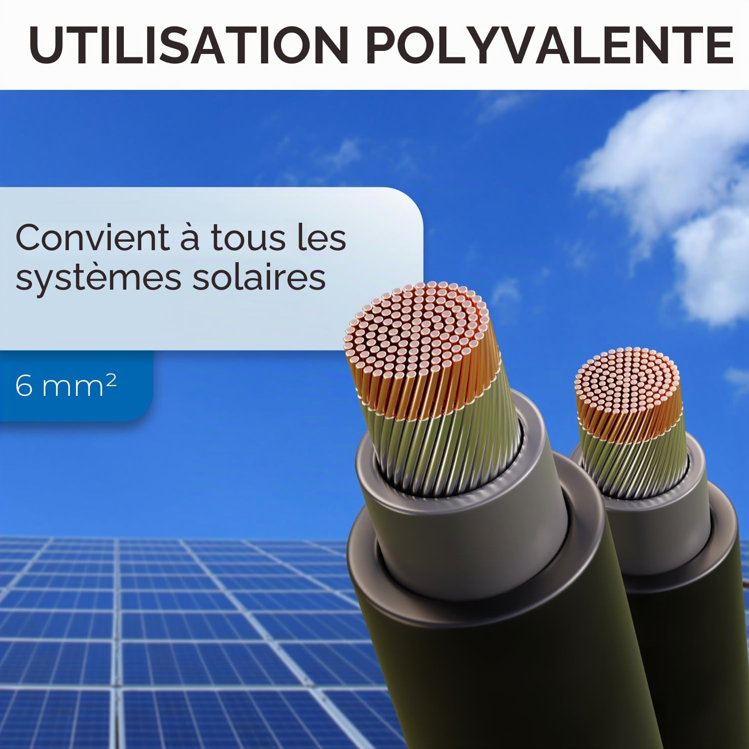 deleyCON 100m Câble Solaire 6mm² - Câble Photovoltaïque pour Installations PV - Résistant aux UV Sans Halogène pour 1kV AC 1,5kV DC - Idéal pour la Pose Fixe et Contacts Enfichables PV - Noir