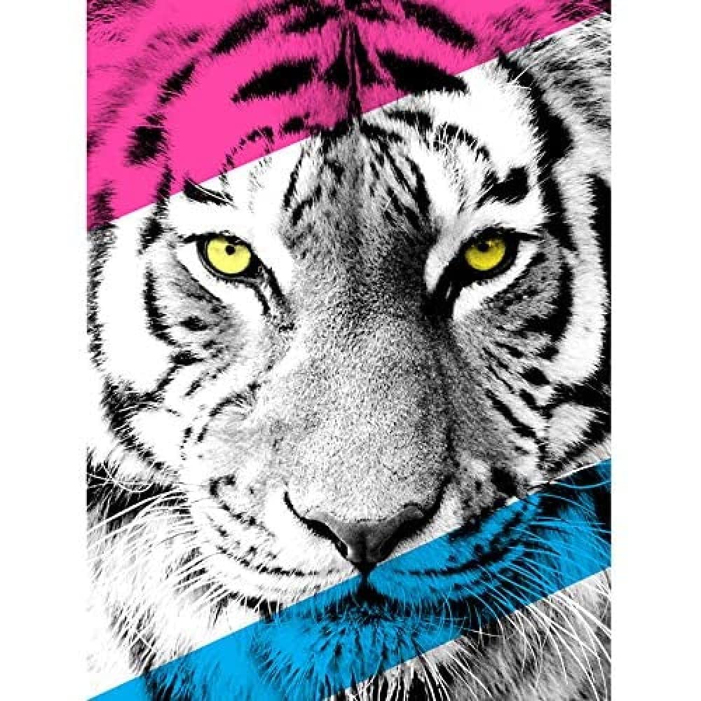 Wee Blue Coo Contemporary Bold CMYK Tiger Art Print Canvas Premium Wall Decor Poster
