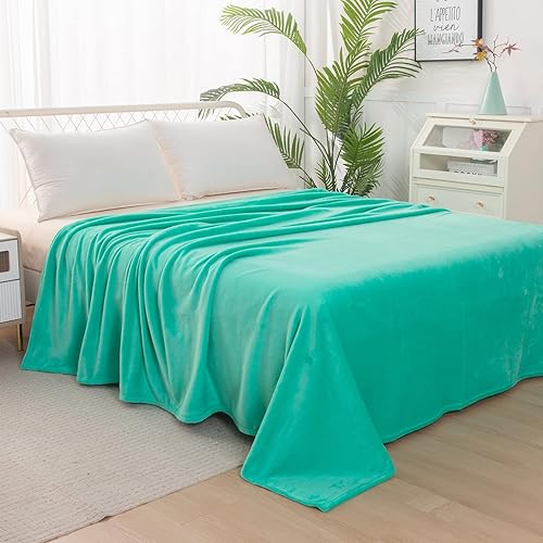 Vista 39 de Elegant Comfort Manta de lujo aterciopelada, manta ligera para todas las estaciones, ultra afelpada, suave, acogedora-mullida de franela polar