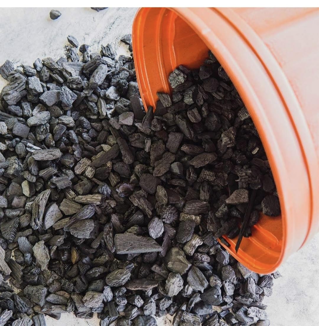 Horticultural Activated Charcoal 450g for Orchid, Succulent, Adenium, Terrarium Plant & Potting Mix | Natural Soil Filter+Long Burning Coal for Havan, Barbeque Cooking & Pooja Dhoop (Pack of 1)-image-14
