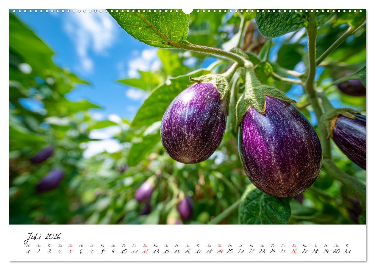 Gemüsegarten - Gemüse aus dem eigenen Garten (hochwertiger Premium Wandkalender 2026 DIN A2 quer), Kunstdruck in Hochglanz: Selbstversorgung und ... Zucchini und mehr (CALVENDO Lifestyle)