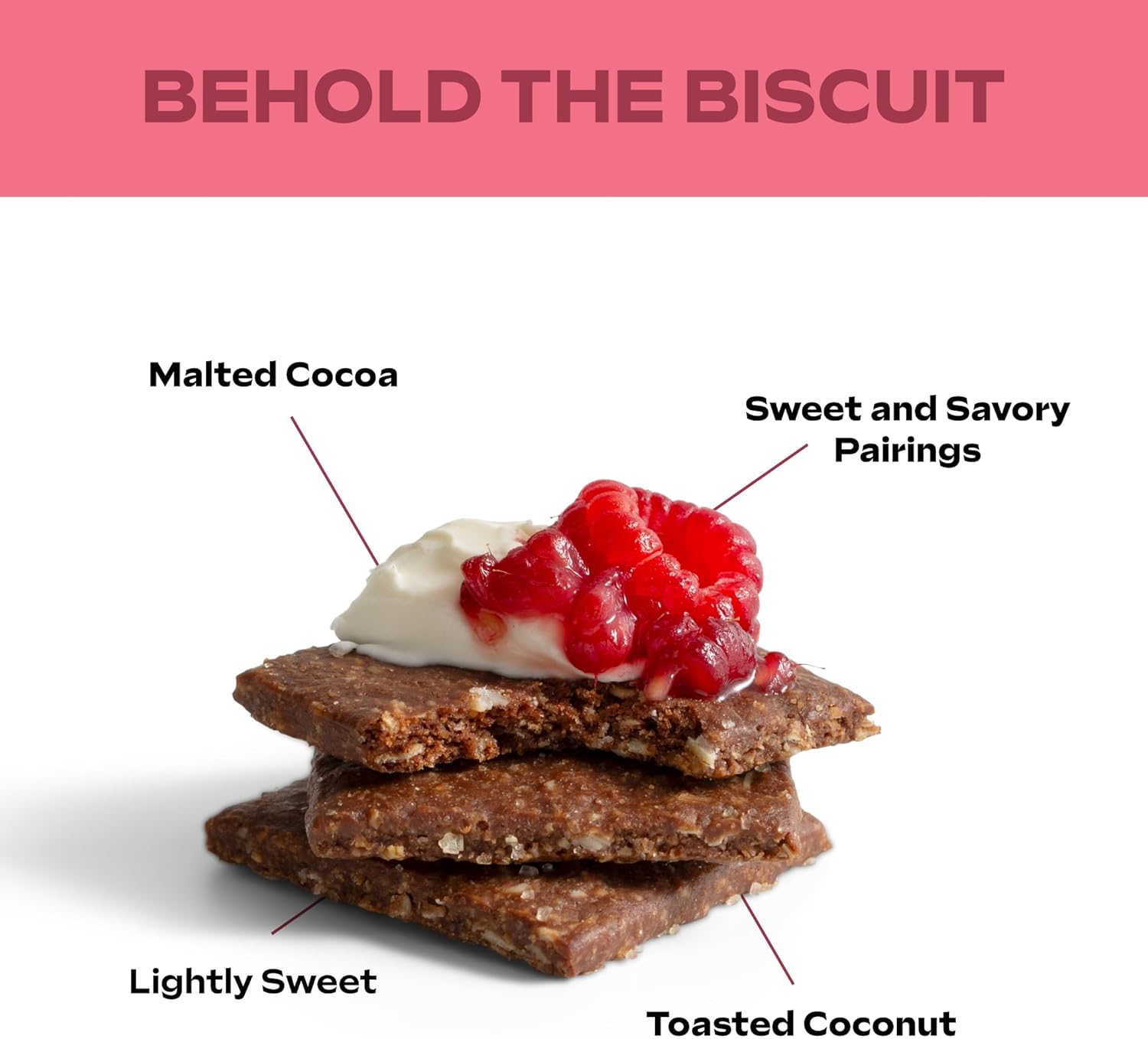 Biscuits - Cocoa