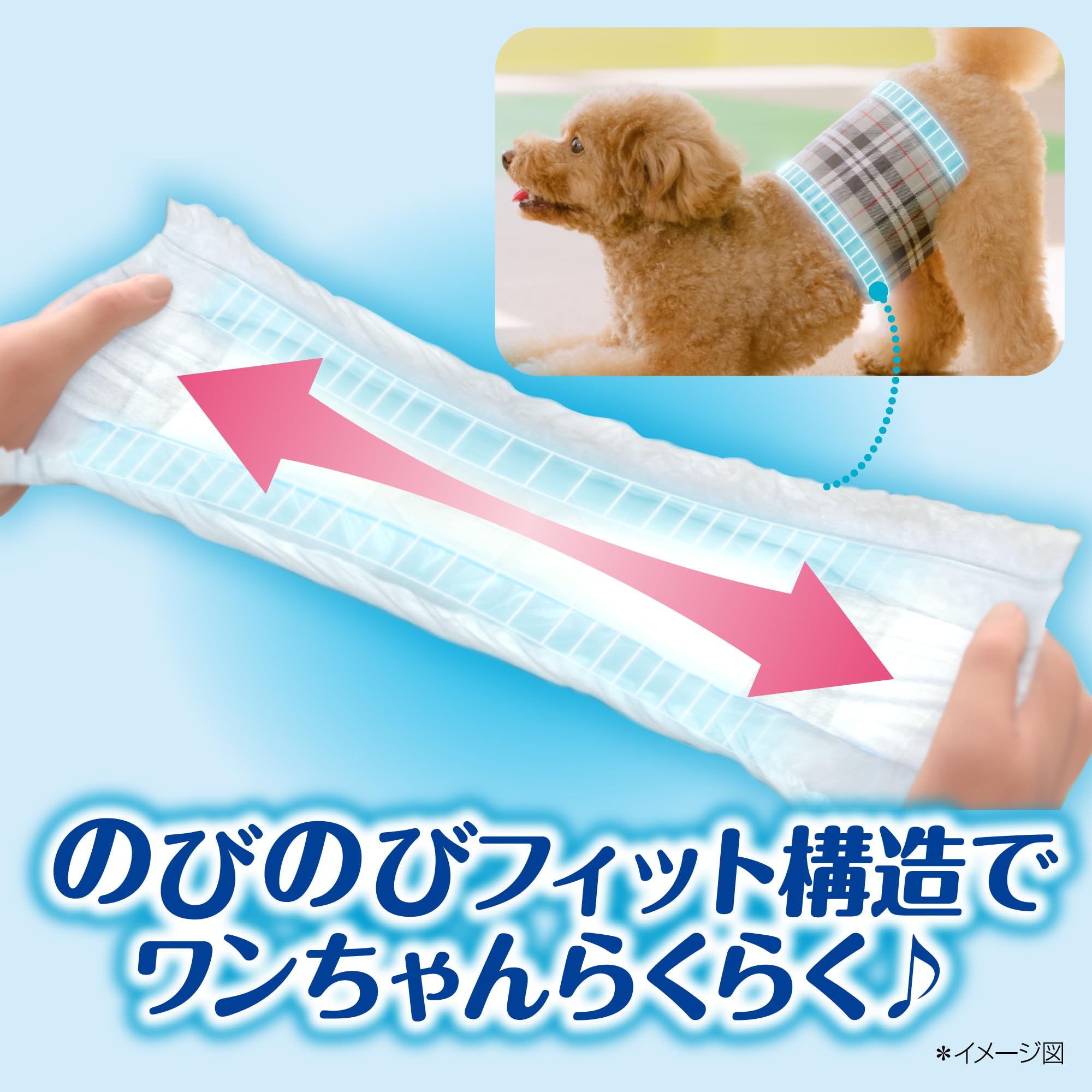 Amazon | マナーウェア 男の子用 L 中型犬用 126枚 [犬用紙おむつ