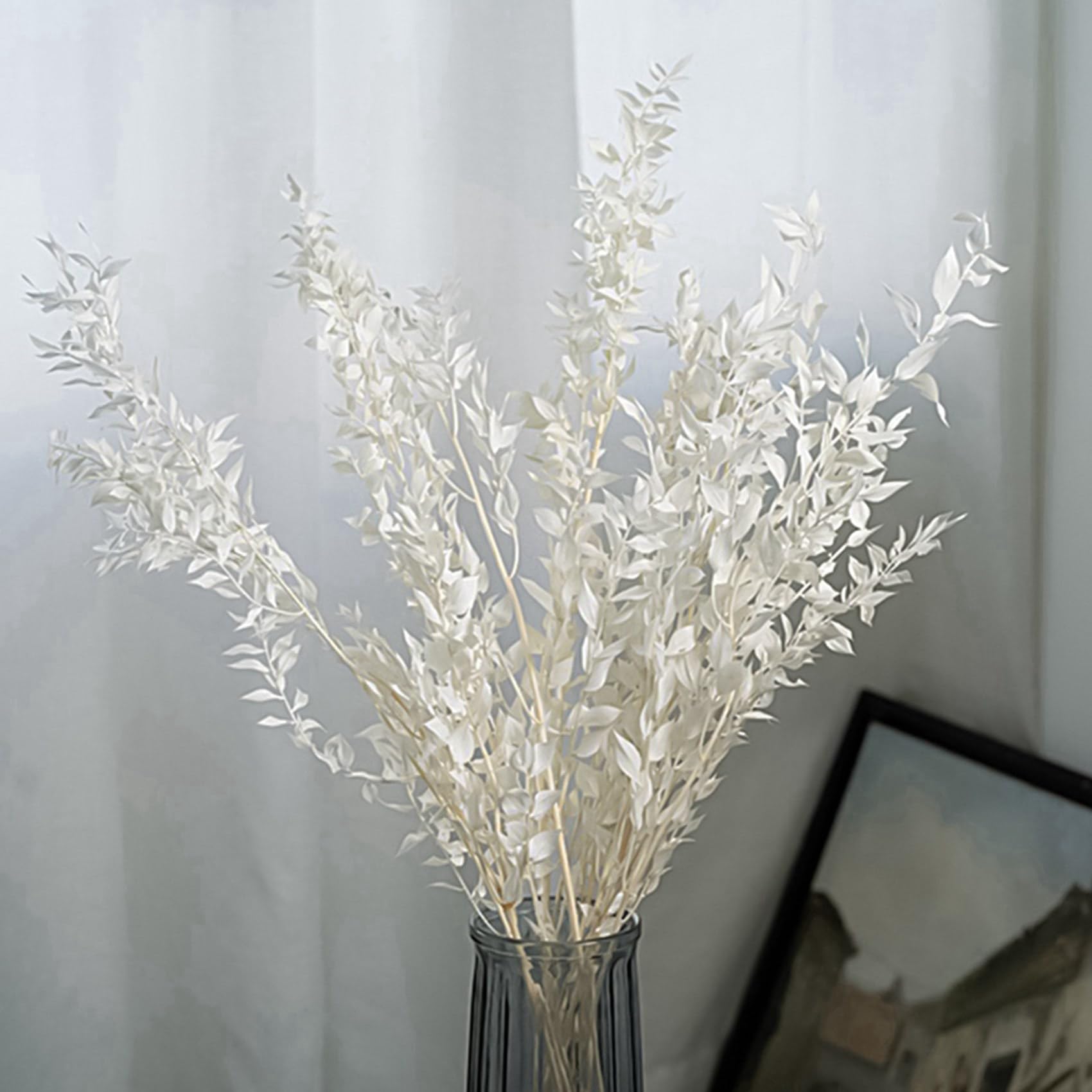 5X 45 cm SéchéEs pour Toujours ConservéEs Ruscus Fleurs Bricolage Décoration Florale Bouquet de Fleurs Sèches pour Mariage Décor à