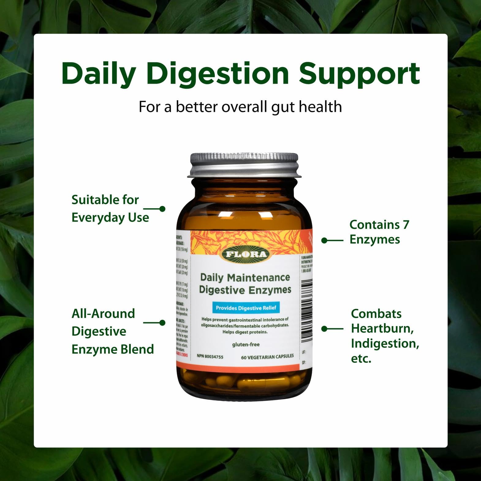 Flora Health Daily Maintenance Digestive Enzyme Supplement to Aid
