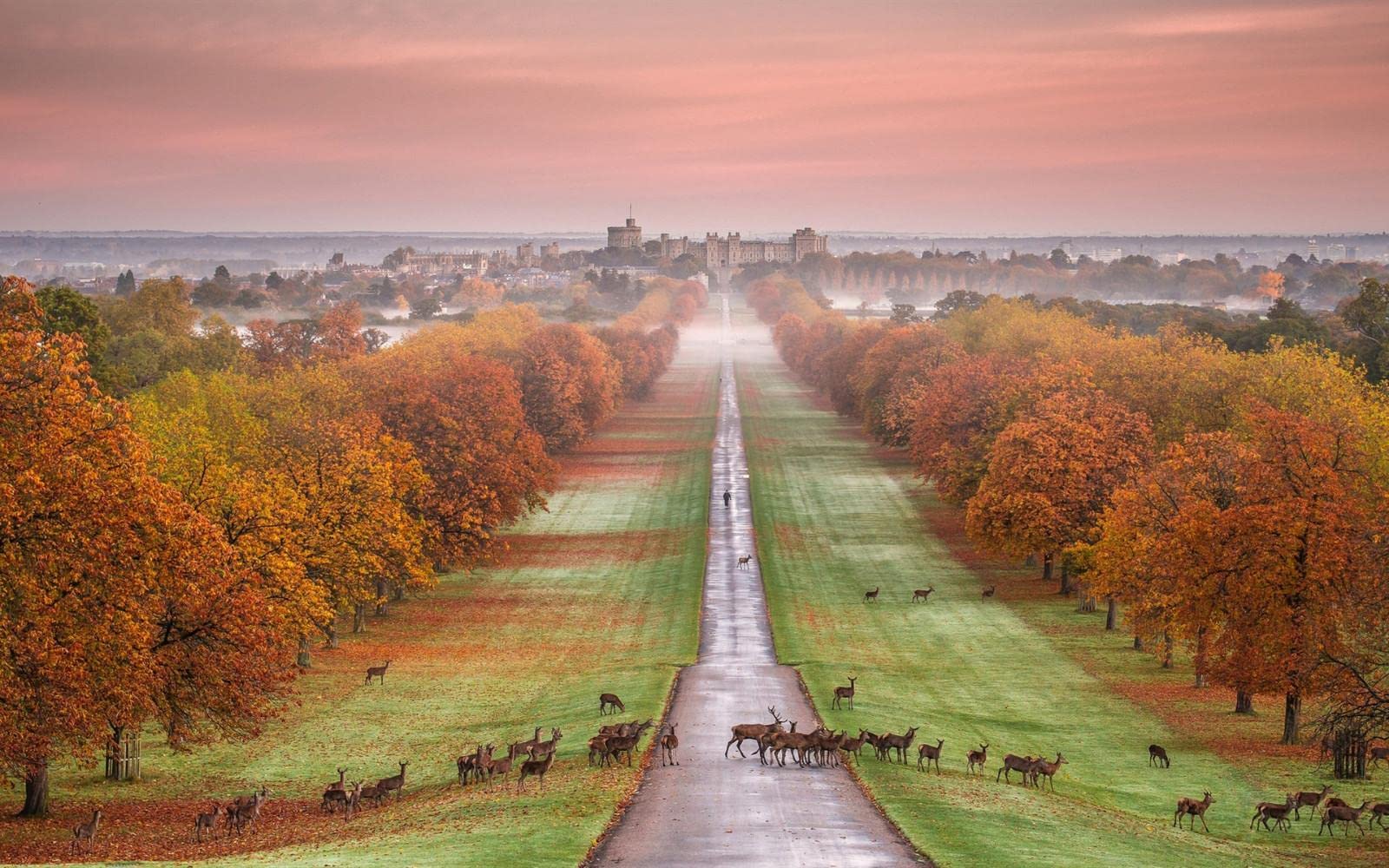 Windsor Castle England Autumn Trees Road Deer DIY 5D Diamond Painting by Number Unique Kits Home Wall Decor Crystal Rhinestone Wall Decor