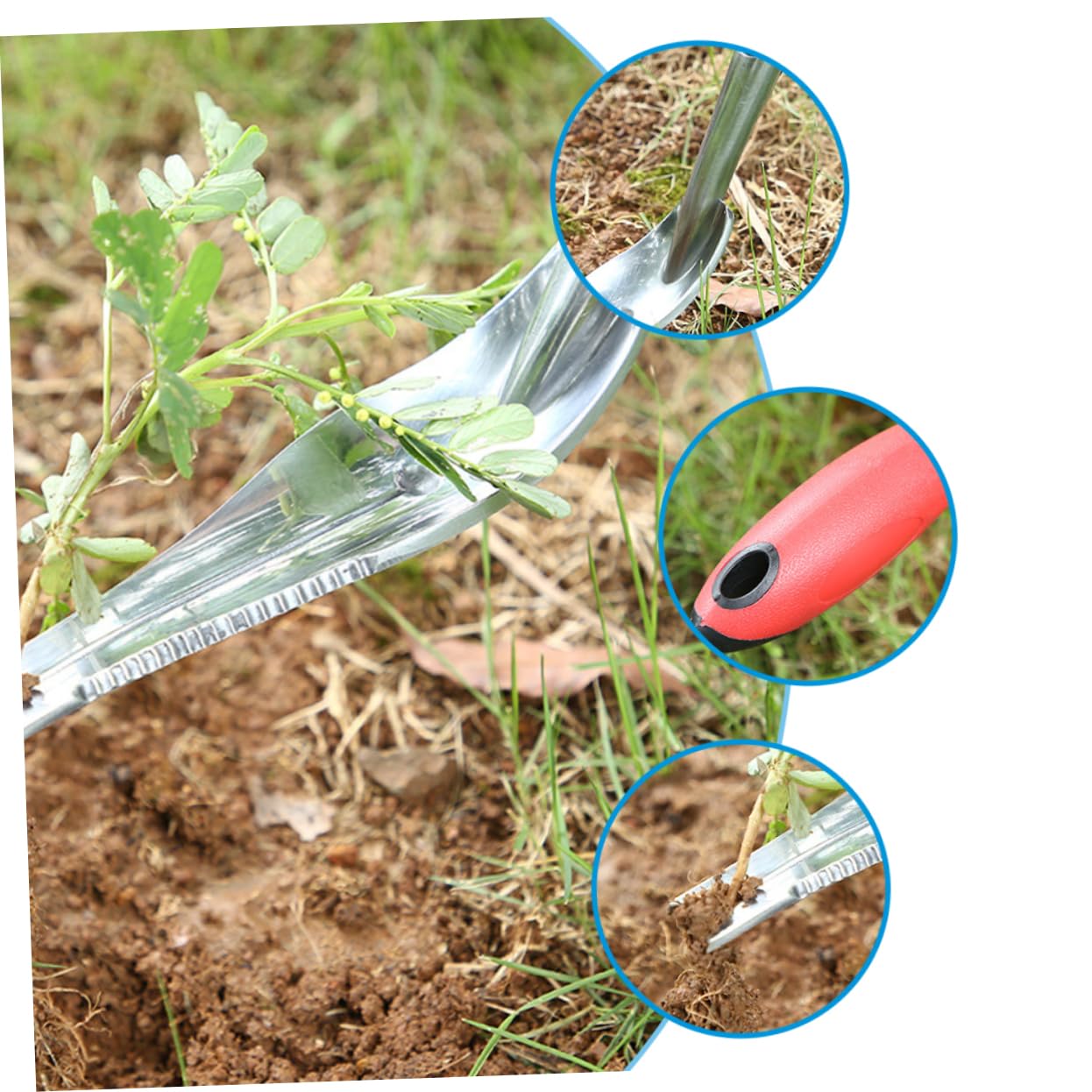 Toddmomy Estirpatore Manuale da Giardino in Ferro, Scavapatate e Allenta Terreno, Anello per Appendere, per Rimuovere Le Erbacce nel Giardino