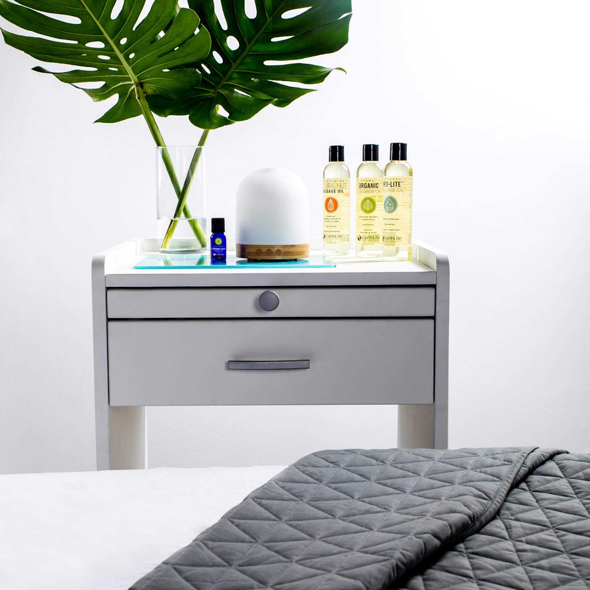 EARTHLITE Massageöl PRO-LITE - Premium Qualität für gewerblich & privat, wasserlöslich, Kokusnuss & Avocado veredelt