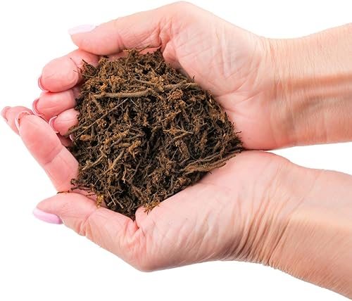 Miniatura 5 de GARDENERA Diatomaceous Earth - Aditivo para suelo de 10 cuartos de galón, diatomita premium, mejora el drenaje y promueve el crecimiento de las