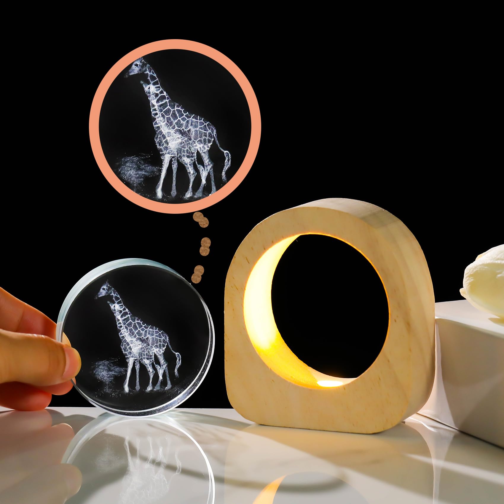 Ornalrist Giraffes Gifts for Women Wood Night Light for Home Decor 