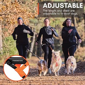 Amazon.com : Non-stop dogwear Freemotion Harness 5.0 Dog