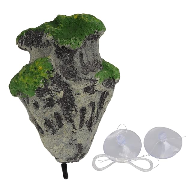 Foto 6 de 8 de Rocas Flotantes de Musgo para Tanque de Peces