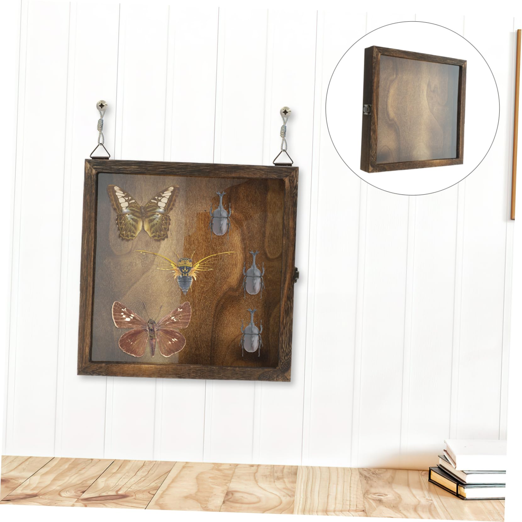OSOLADY Insect Specimen Case Fake Bugs Display Small Storage Box Lid Butterfly Display Case Wall Hanging Style