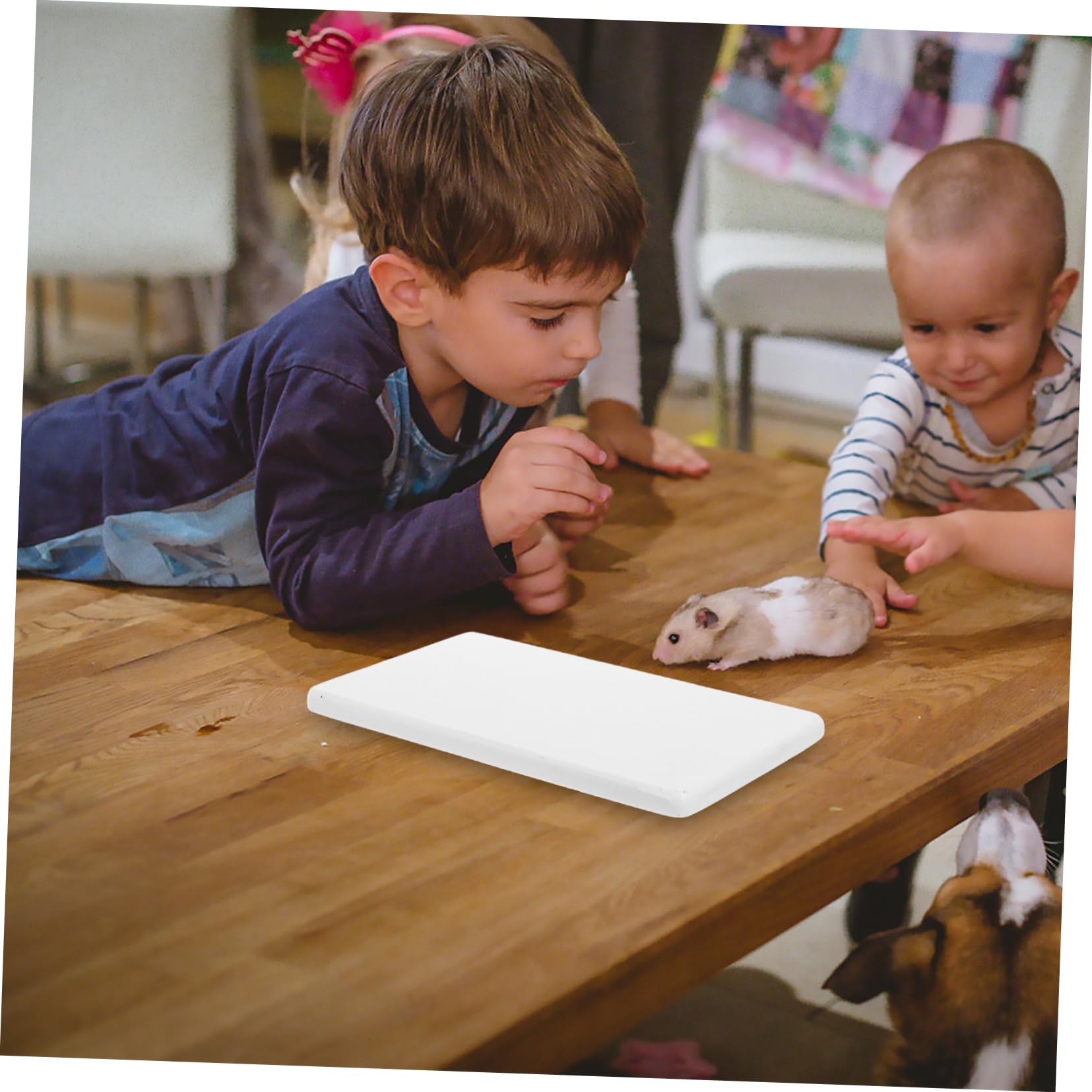 Tappetino Refrigerante per Piccoli Animali 1 Pz in Marmo Bianco | Criceti e Cavie, Uso Outdoor in Giardino, Manutenzione Semplice, Forma Piatta per Estate