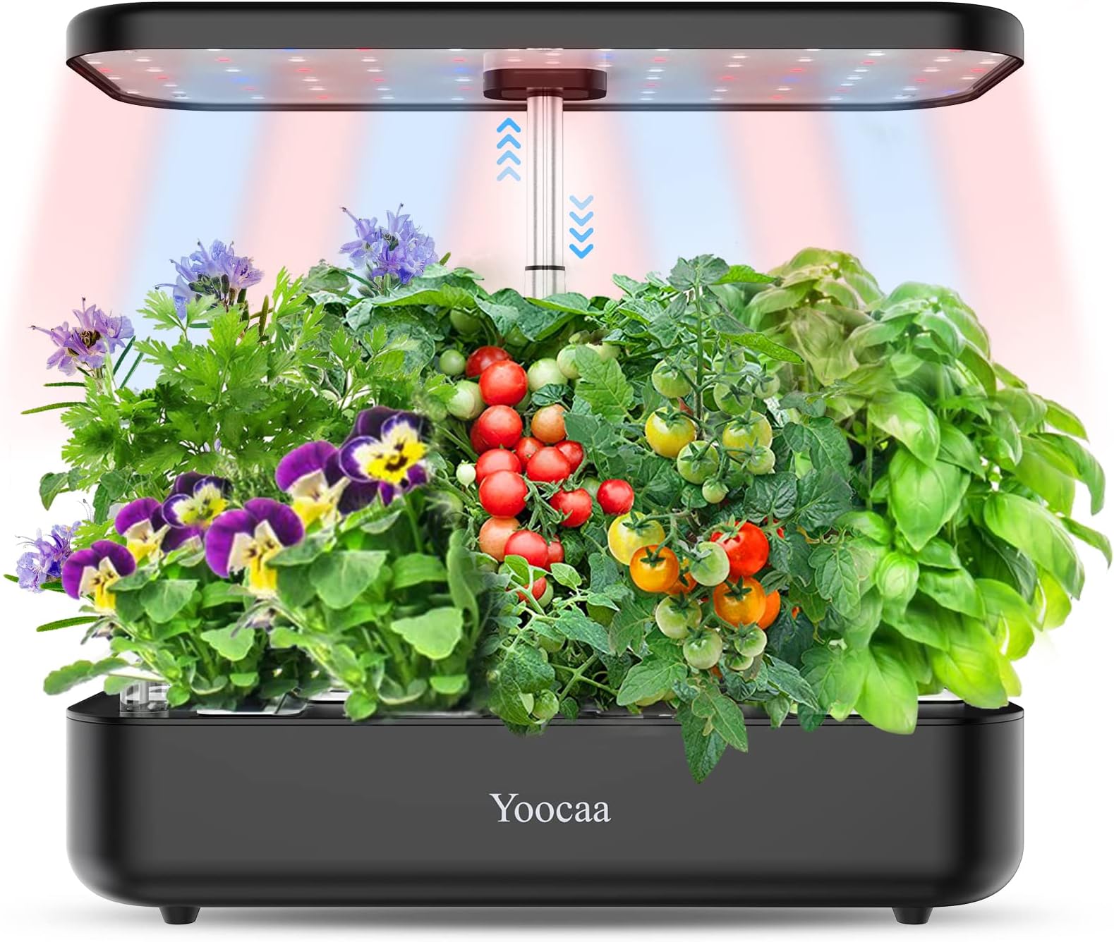 Yoocaa 12-Pod Hydroponics Growing System with LED Grow Light & Automatic Time...