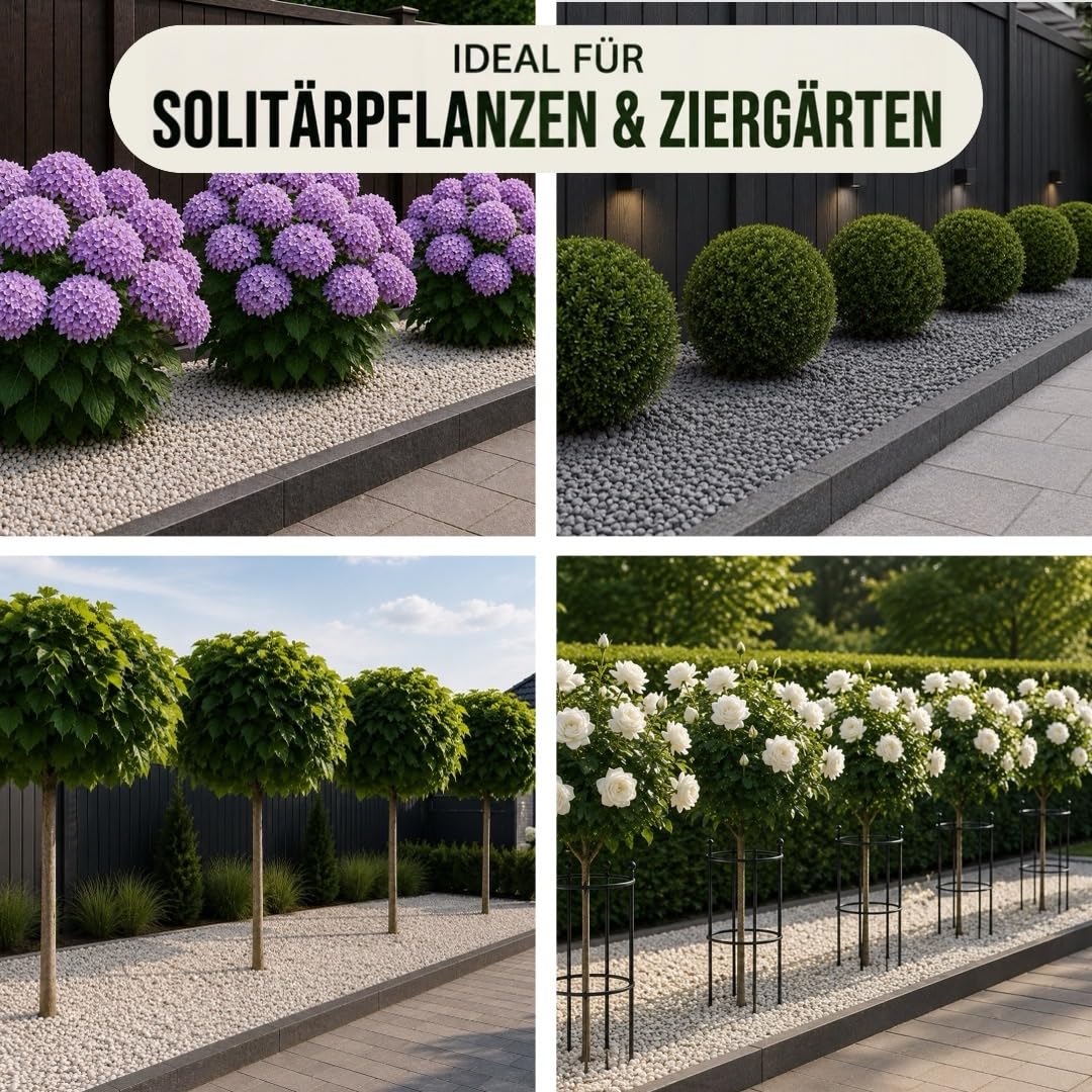 Hunter Direktbewässerung für 5–20 Bäume & Sträucher – Unterirdisches Profi System – Durchdachtes Komplettset – Ideal für Hortensien, Obstbäume, Großzier- & Solitärpflanzen (5 Pflanzen)